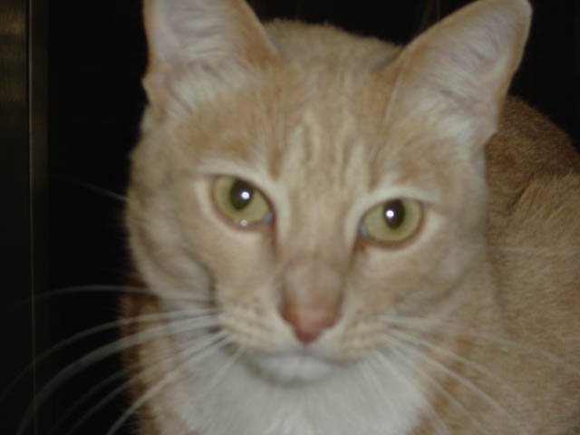 DSC00018