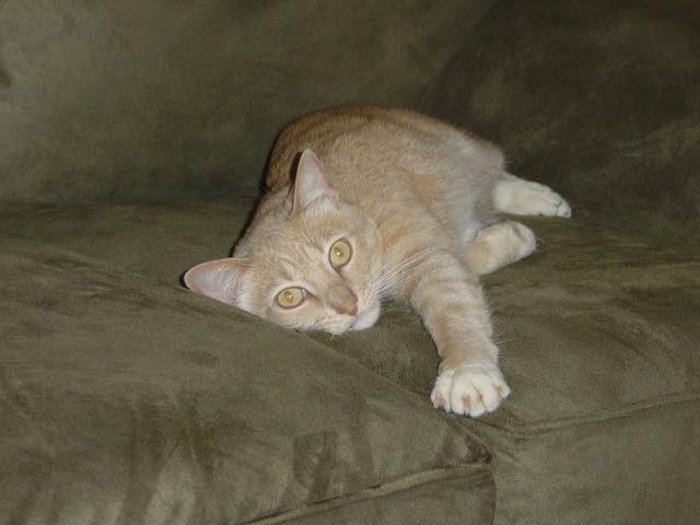 DSC00030