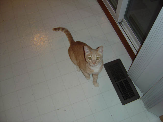 DSC00078