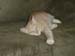 DSC00030