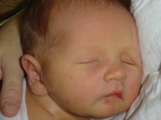 DSC00117
