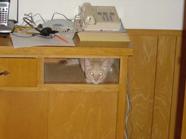 maynard_drawer