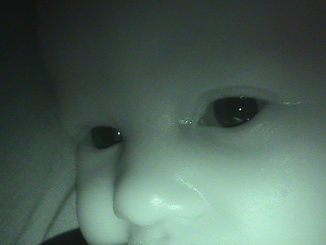 DSC00310
