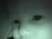 DSC00310
