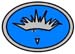 wighead1